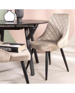 כסא פינת אוכל בז' מרופד דגם TOLLER