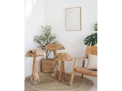 פטריות דקורטיביות מעץ טיק